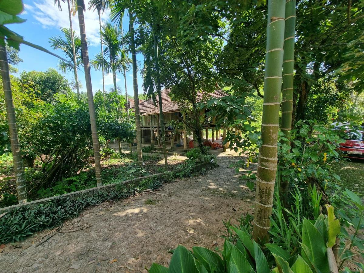 Muong Bi Homestay Hòa Bình Exterior foto