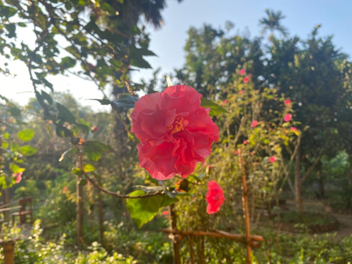 Muong Bi Homestay Hòa Bình Exterior foto