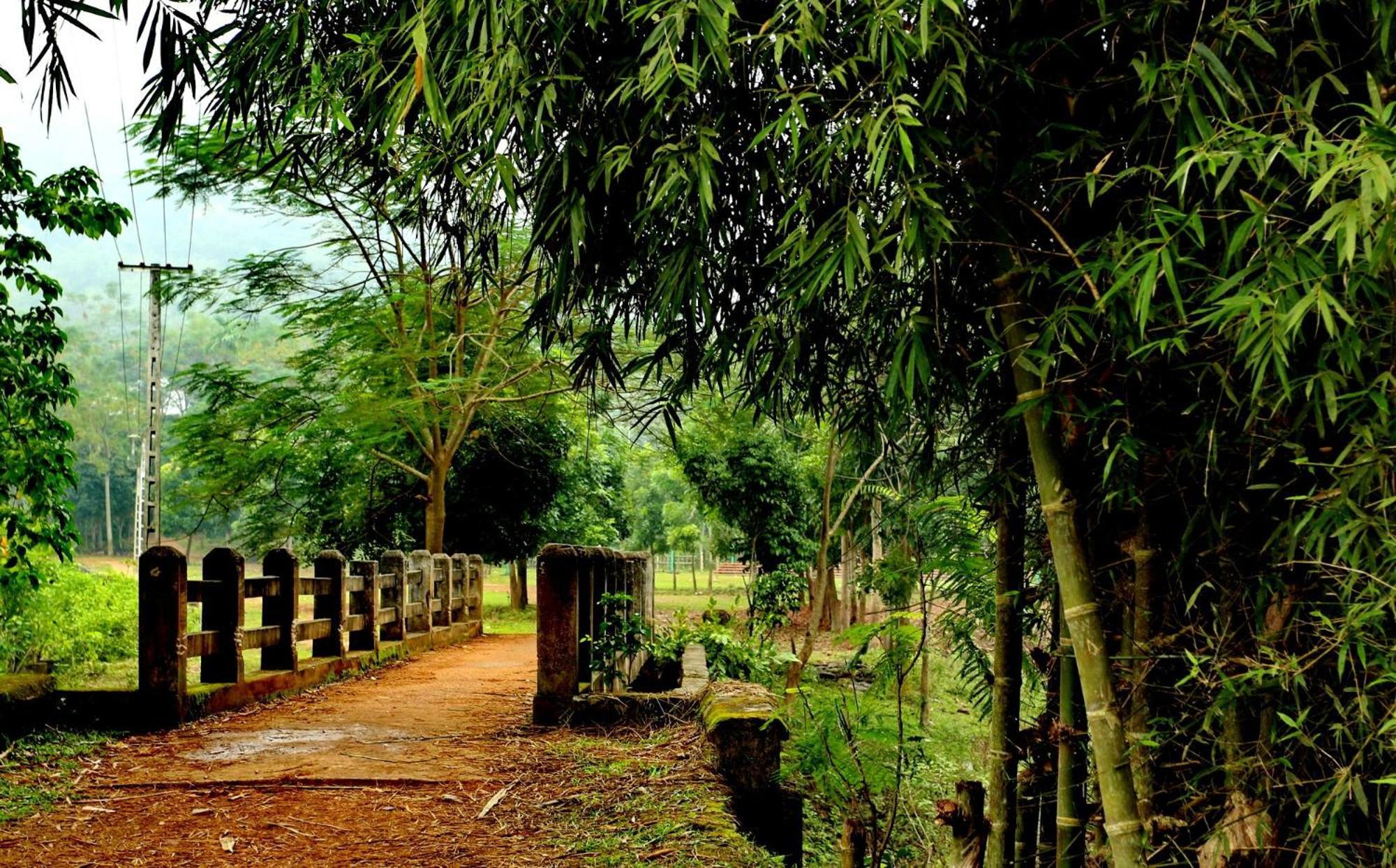 Muong Bi Homestay Hòa Bình Exterior foto