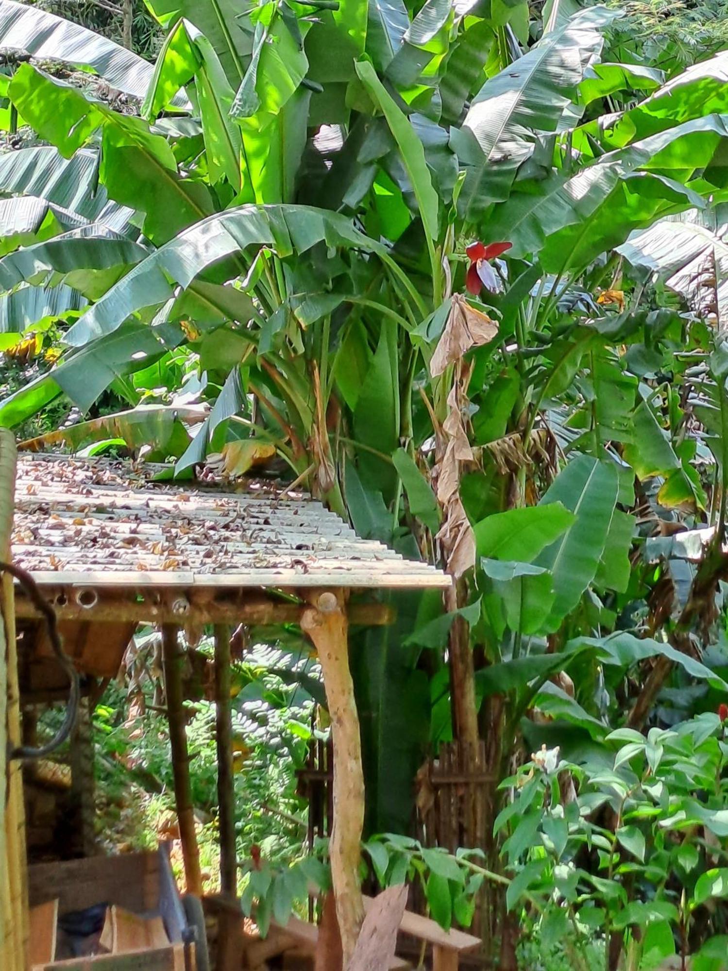 Muong Bi Homestay Hòa Bình Exterior foto